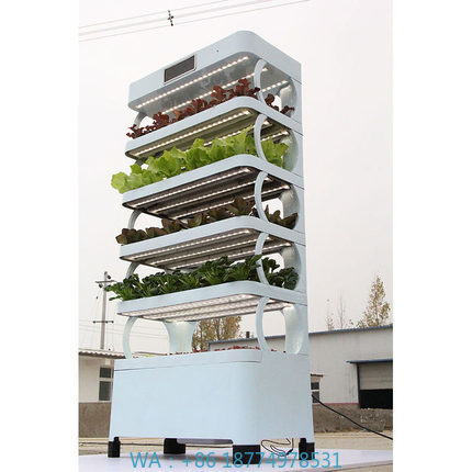 Smart Home Ac - arming Home Hydrocultuur kweeksystemen Nieuwe collectie