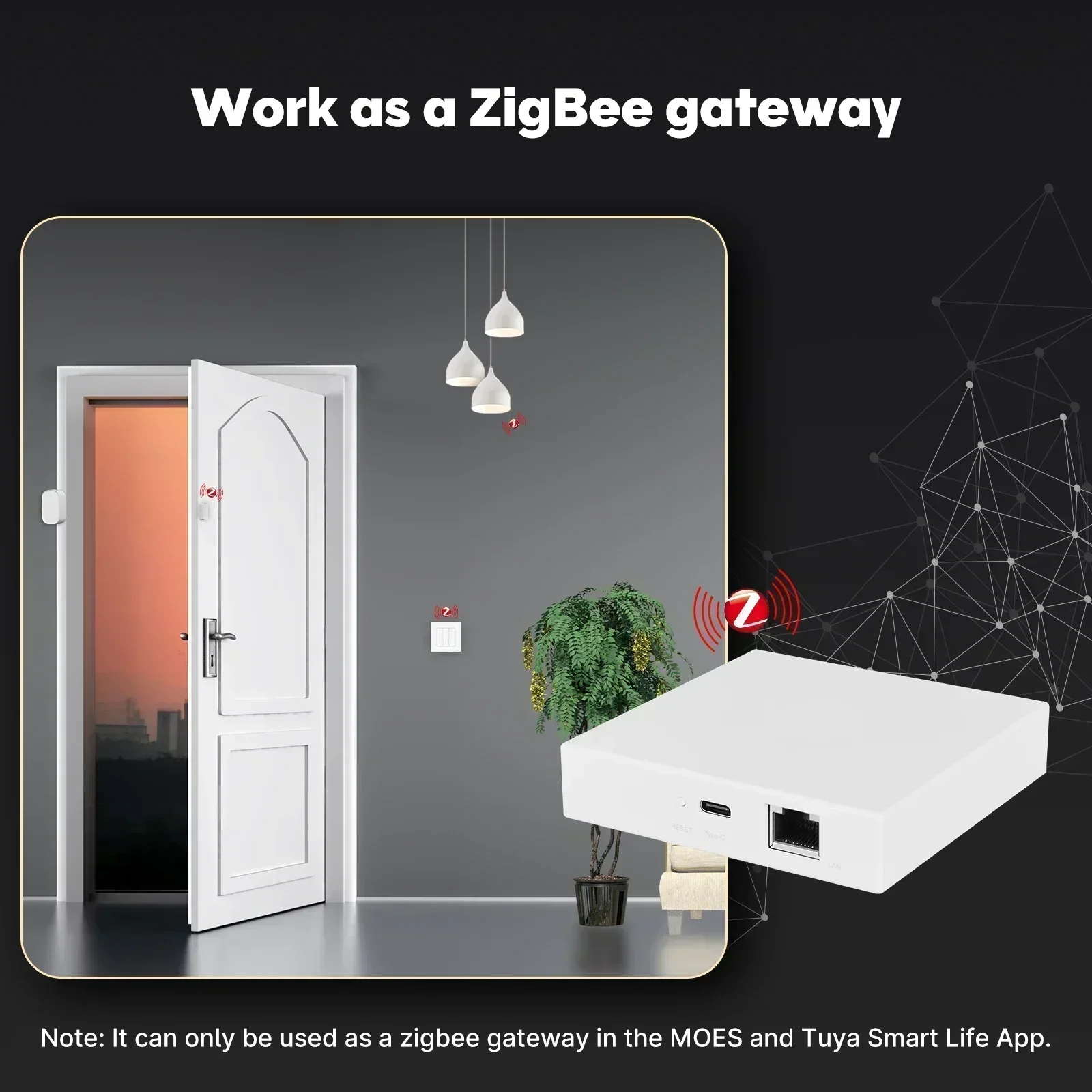 MOES Tuya Zigbee Matter Thread - Smart Home Website recensie en prijs