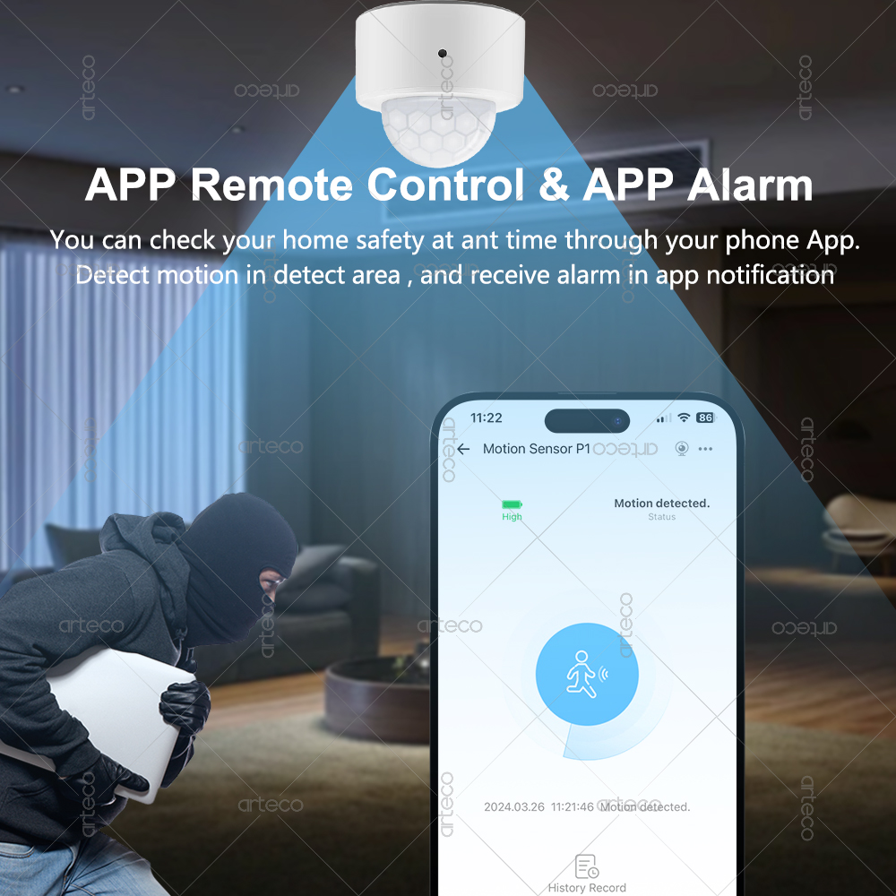 Ewelink Zigbee PIR-bewegingsse - Zigbee Motion Sensor recensie en prijs