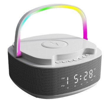 Bluetooth-luidspreker S301 - L - Smart Home Security recensie en prijs