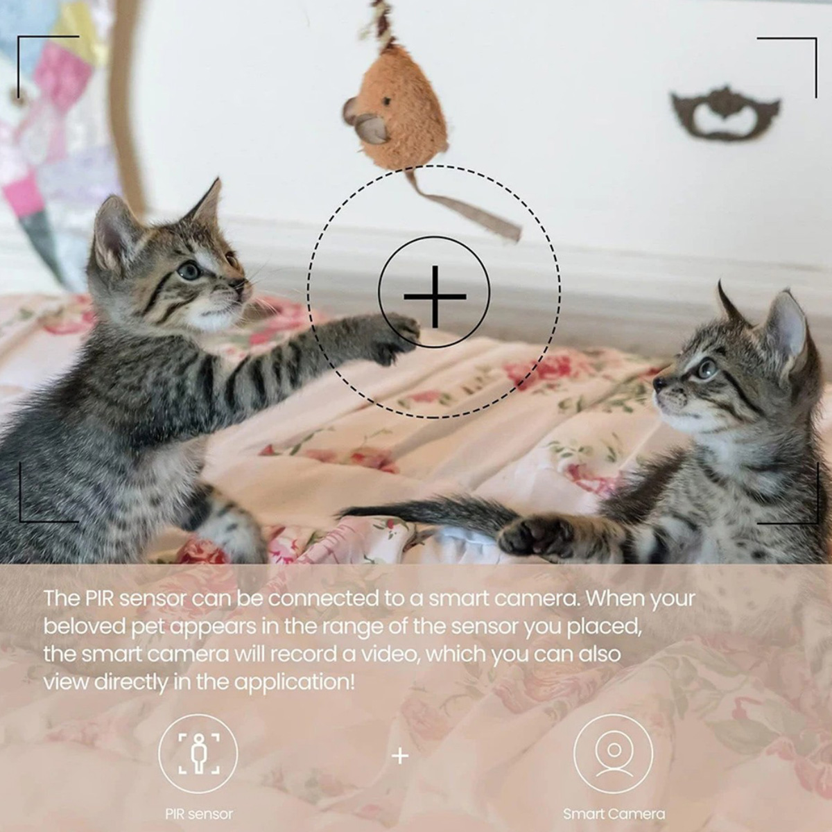 ZigBee 3.0 PIR-bewegingssensor - Smart Home Website recensie en prijs